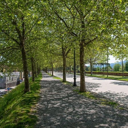Cittadella Homes 루카 외부 사진